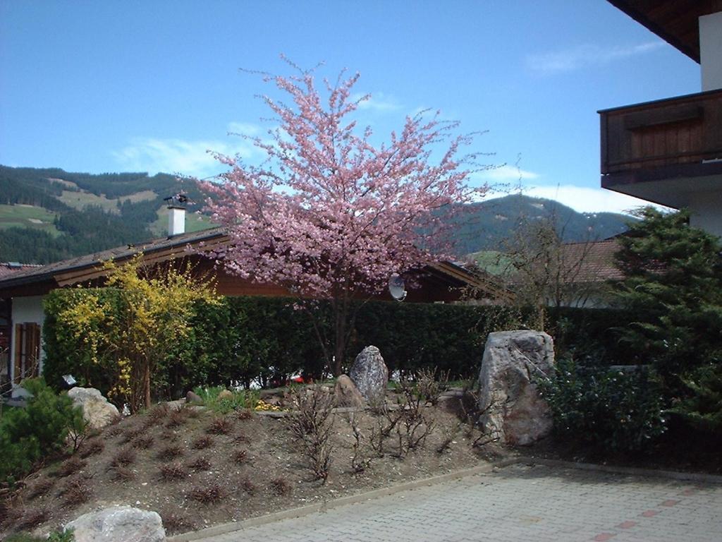 Pension Fuchs Brixen im Thale Extérieur photo